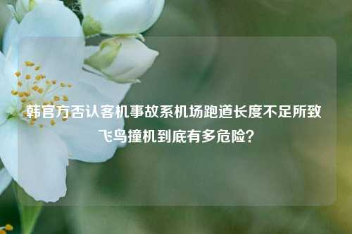 韩官方否认客机事故系机场跑道长度不足所致 飞鸟撞机到底有多危险？