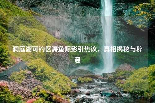 洞庭湖可钓区鳄鱼踪影引热议，真相揭秘与辟谣