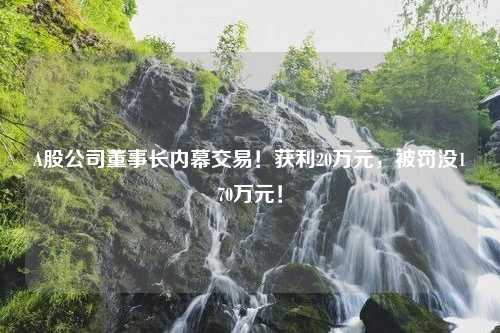 A股公司董事长内幕交易！获利20万元，被罚没170万元！