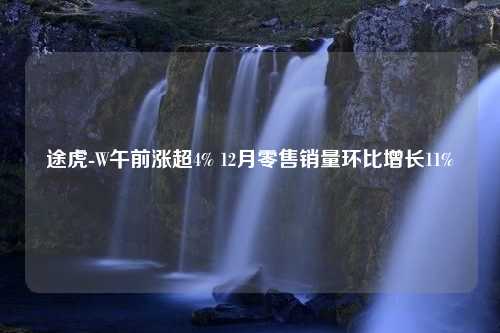 途虎-W午前涨超4% 12月零售销量环比增长11%