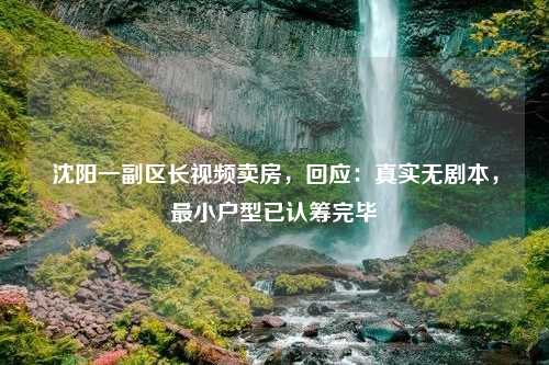 沈阳一副区长视频卖房，回应：真实无剧本，最小户型已认筹完毕