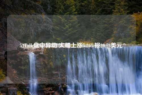 51Talk盘中异动 大幅上涨5.26%报20.73美元