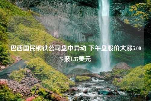 巴西国民钢铁公司盘中异动 下午盘股价大涨5.00%报1.37美元