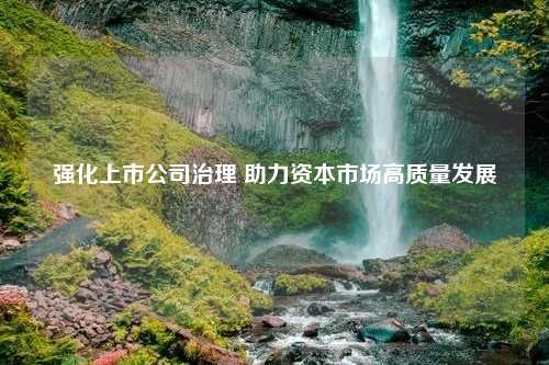 强化上市公司治理 助力资本市场高质量发展