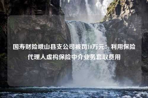 国寿财险峨山县支公司被罚10万元：利用保险代理人虚构保险中介业务套取费用