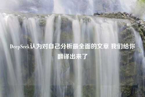 DeepSeek认为对自己分析最全面的文章 我们给你翻译出来了