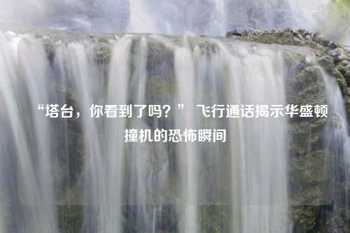 “塔台，你看到了吗？” 飞行通话揭示华盛顿撞机的恐怖瞬间