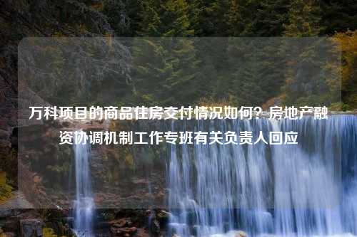 万科项目的商品住房交付情况如何？房地产融资协调机制工作专班有关负责人回应